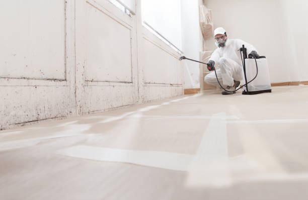 24/7 Emergency Mold Cleanup experts in Jefferson, TX