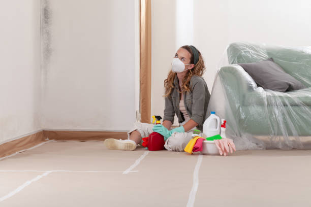 Reliable Mold Cleanup contractor in Jefferson, TX by WQB Mold Removal